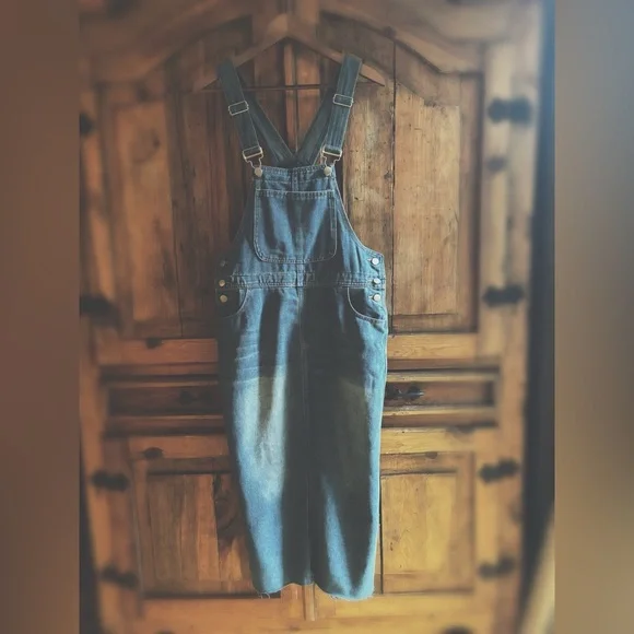 Dress Denim Overall - Picture 5 of 10